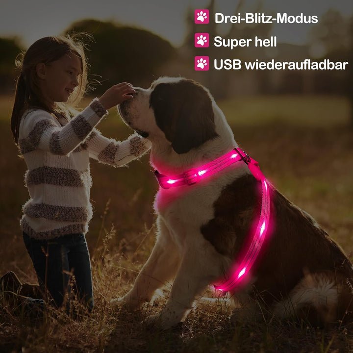 KOSKILL LED Hundegeschirr Wiederaufladbares Beleuchtetes Hundegeschirr Leuchtet Im Dunkeln LED Hunde