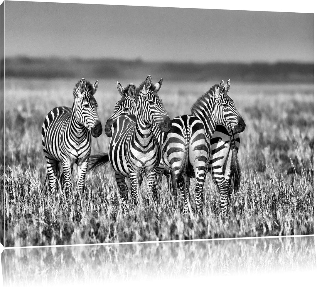 Pixxprint kleine Zebrahorde als Leinwandbild/Grösse: 100x70 cm/Wandbild/Kunstdruck/fertig bespannt,