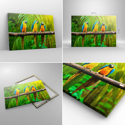 Bilder auf Leinwand 100x70cm Leinwandbild Papageien Collorful Natur Vögel Gross Wanddeko Bild Schlaf