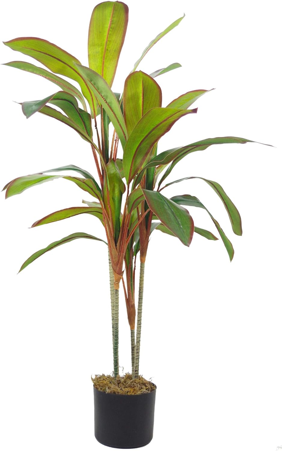 LeafLeafKunstpflanze im Topf, 100 cm, gross, LEAF-7298, 100 cm Grosses Blatt Dracaena, 100 Cm Grosse