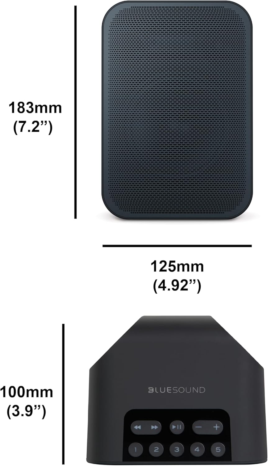 Bluesound Pulse Flex 2i tragbarer kabelloser Streaming-Lautsprecher - Schwarz Black, Black