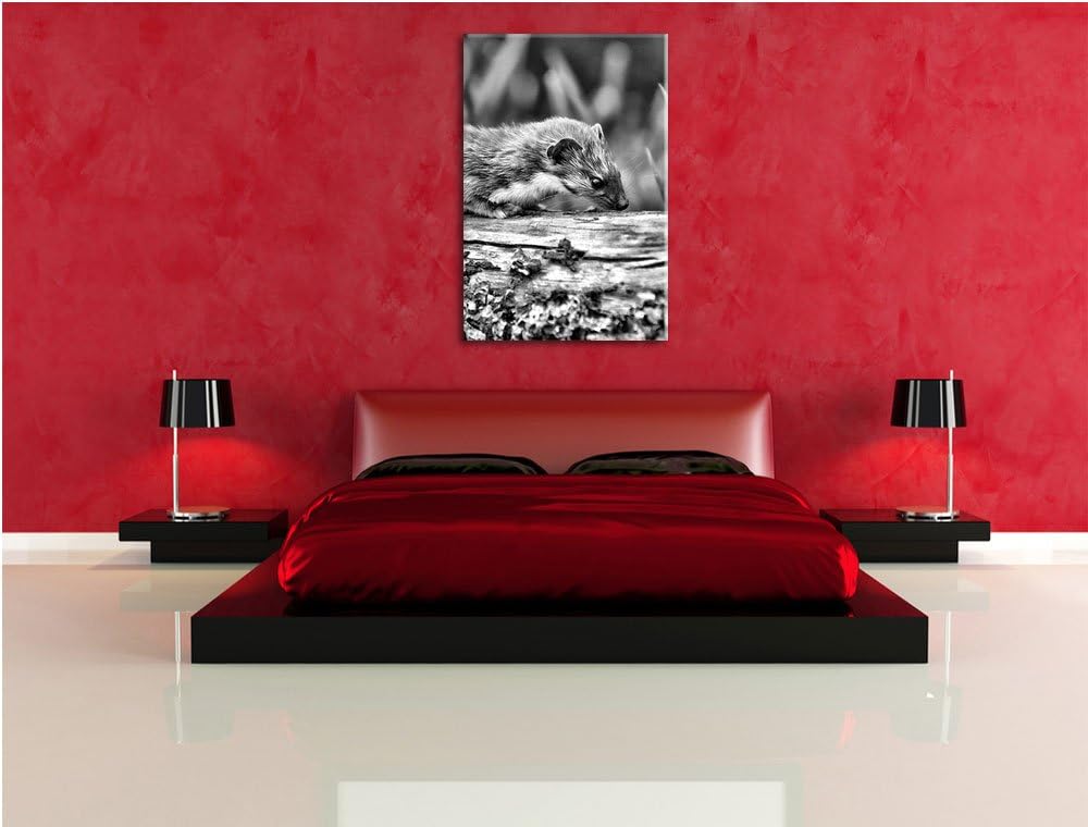 Pixxprint Frettchen auf Baumstamm / 100x70cm Leinwandbild bespannt auf Holzrahmen/Wandbild Kunstdruc