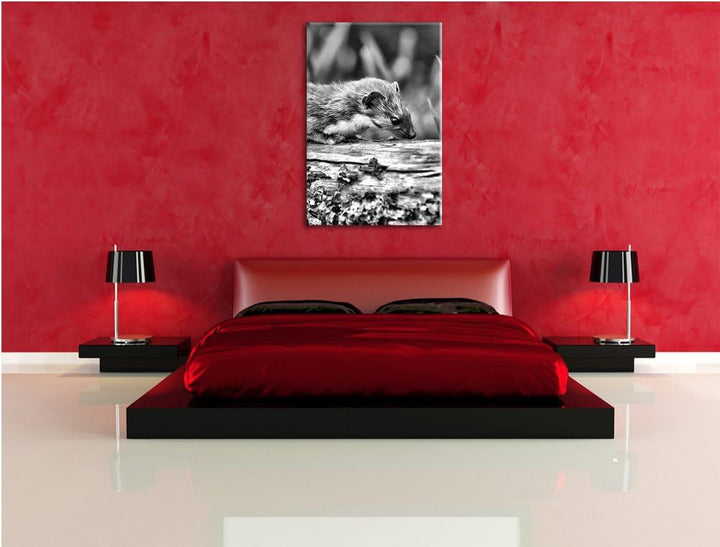 Pixxprint Frettchen auf Baumstamm / 100x70cm Leinwandbild bespannt auf Holzrahmen/Wandbild Kunstdruc