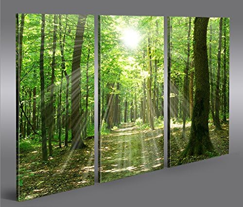 islandburner Bild Bilder auf Leinwand Sonnenstrahlen im Wald Bäume Spaziergang 3p XXL Poster Leinwan