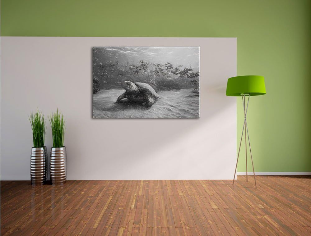 Schildkröten Kohle Effekt, Format: 100x70 auf Leinwand, XXL riesige Bilder fertig gerahmt mit Keilra