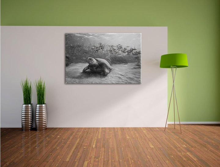 Schildkröten Kohle Effekt, Format: 100x70 auf Leinwand, XXL riesige Bilder fertig gerahmt mit Keilra