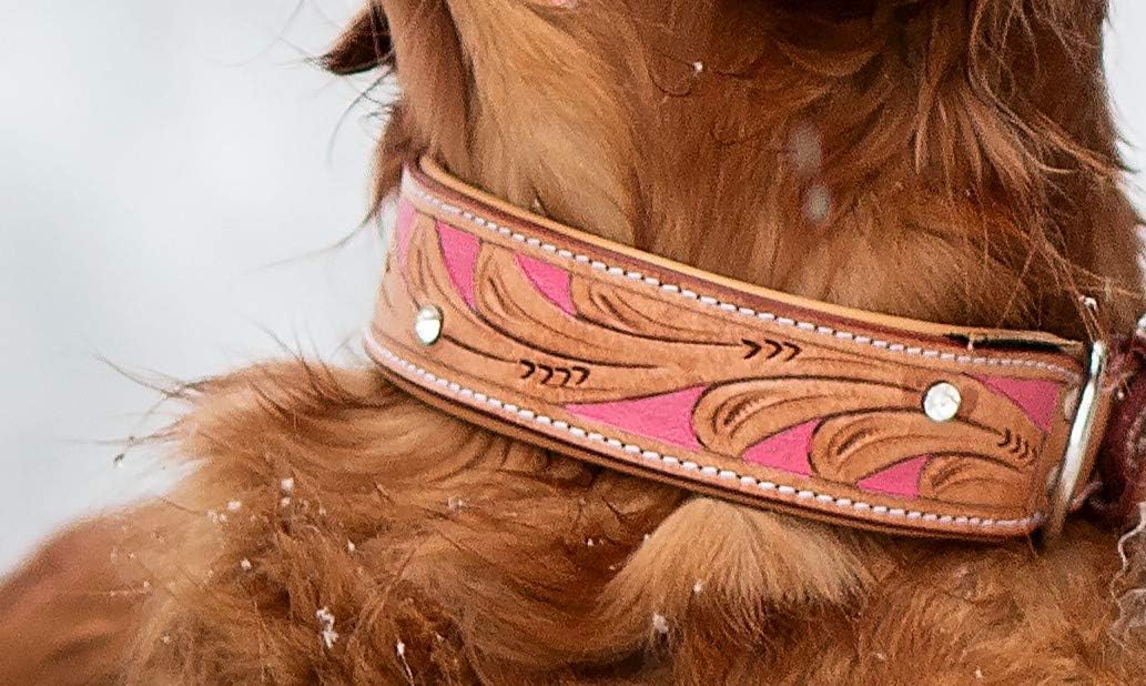 MICHUR Pinklady Hundehalsband Leder, Lederhalsband Hund, Halsband, Leder, BEIGE, Caramel, Braun, PIN