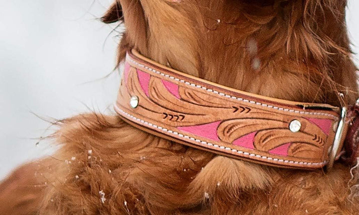 MICHUR Pinklady Hundehalsband Leder, Lederhalsband Hund, Halsband, Leder, BEIGE, Caramel, Braun, PIN