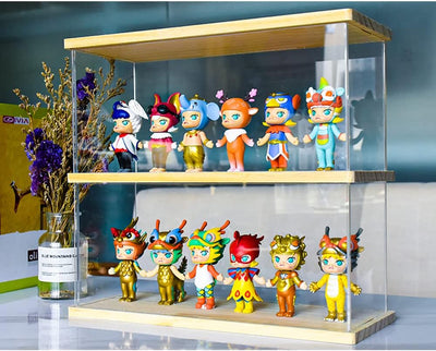 Joody Vitrine aus Acryl, Plexiglas-Boxen mit 2 Ebenen, Vitrine mit Tür für Pop-Figuren, Minifigur, S