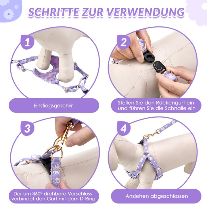 Eyein Hundegeschirr Kleine Hunde mit Leine, Atmungsaktiv Air Mesh Brustgeschirrmit reflektierenden S