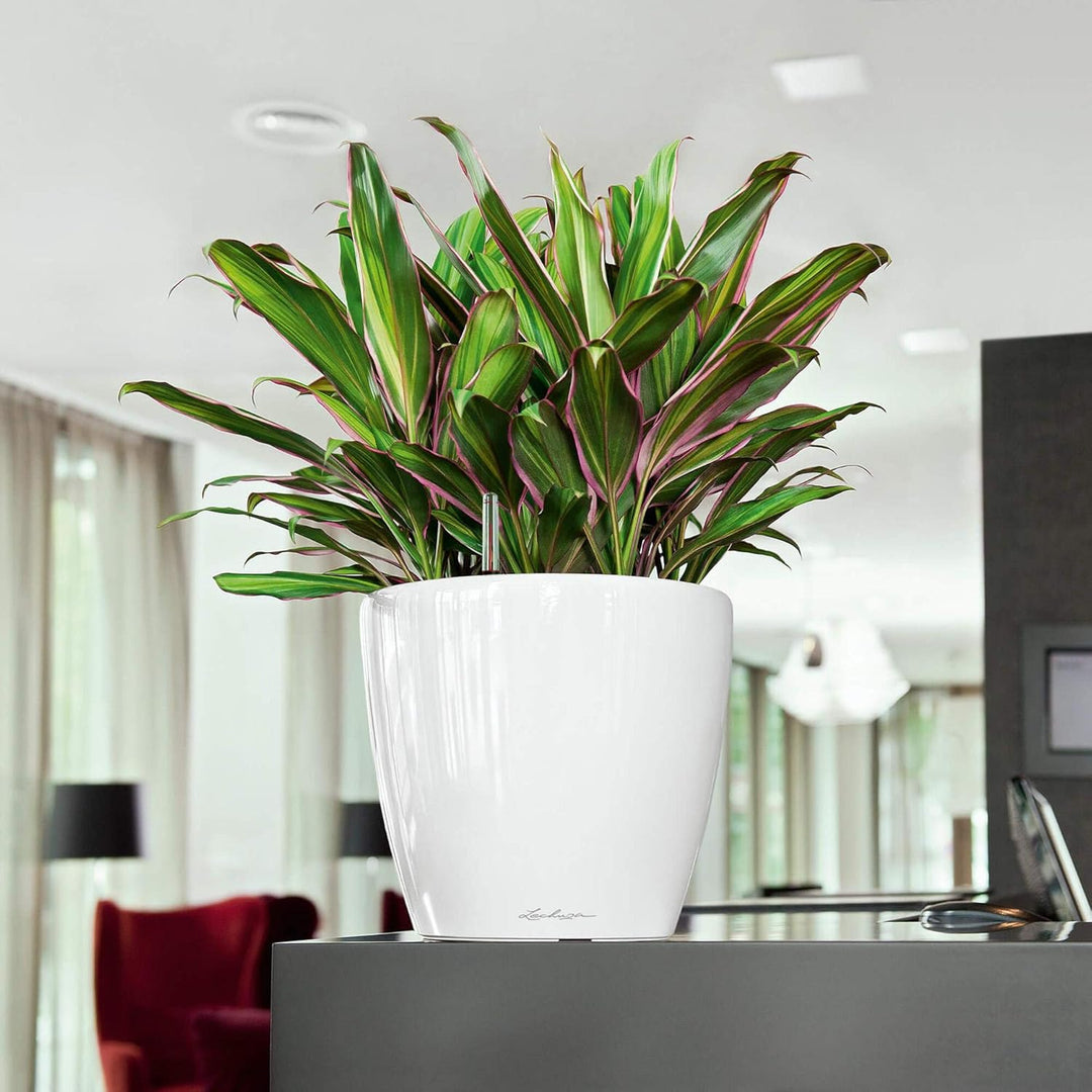 LECHUZA CLASSICO Premium LS 28 silber metallic 16048 28.5x28.5x26 cm Silber Metallic Single, 28.5x28