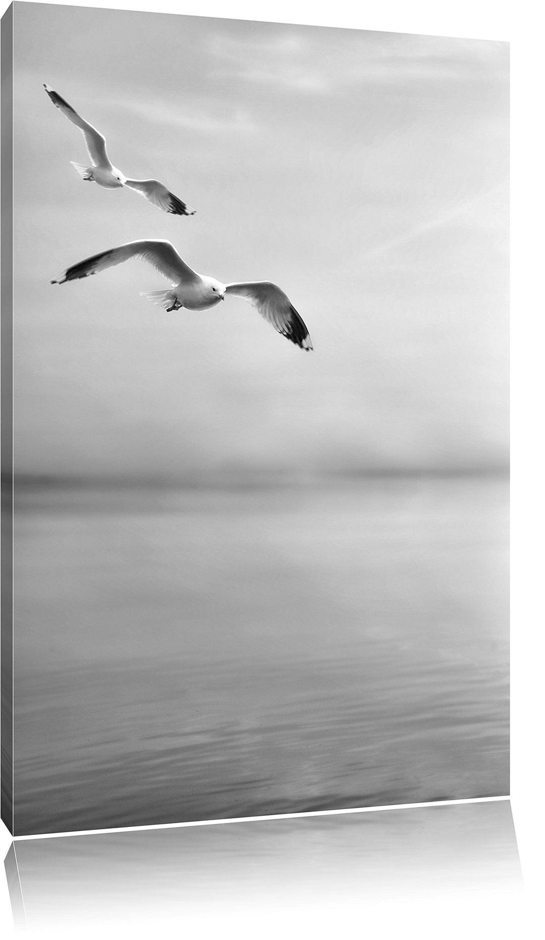 Pixxprint Möwen am Meer bei Sonnenaufgang als Leinwandbild/Grösse: 100x70 / Wandbild/Kunstdruck/fert