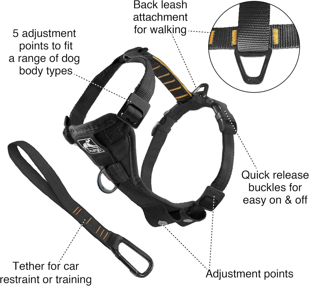 Kurgo Tru-Fit Smart Hundegeschirr, Mit gepolstertem Brustteil und D-Ring, Inklusive Autosicherheitsg