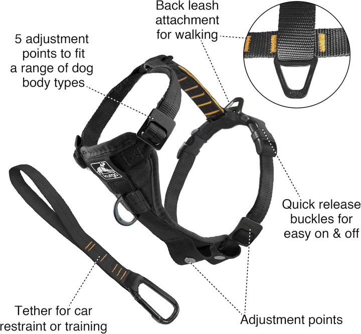Kurgo Tru-Fit Smart Hundegeschirr, Mit gepolstertem Brustteil und D-Ring, Inklusive Autosicherheitsg