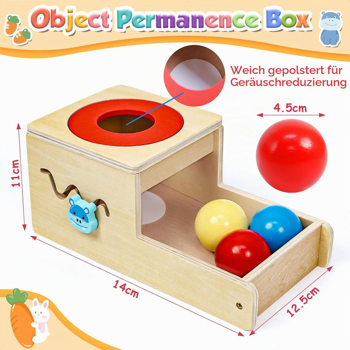 Holzspielzeug ab 1 Jahr, Montessori Spielzeug mit Karotten Baby Steckspiel, Motorik Spielzeug 1 2 3
