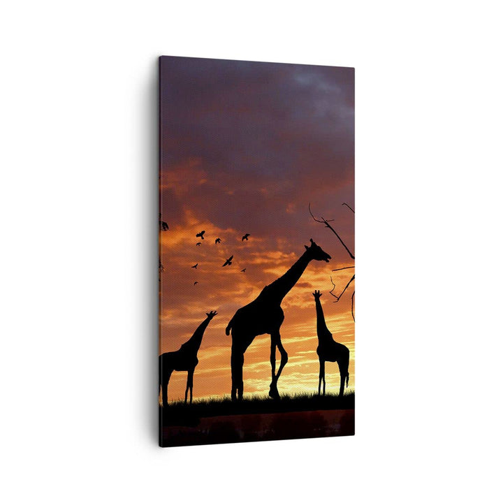 Bilder auf Leinwand Giraffe Afrika Sonne Safari Leinwandbild mit Rahmen 45x80cm Wandbilder Dekoratio