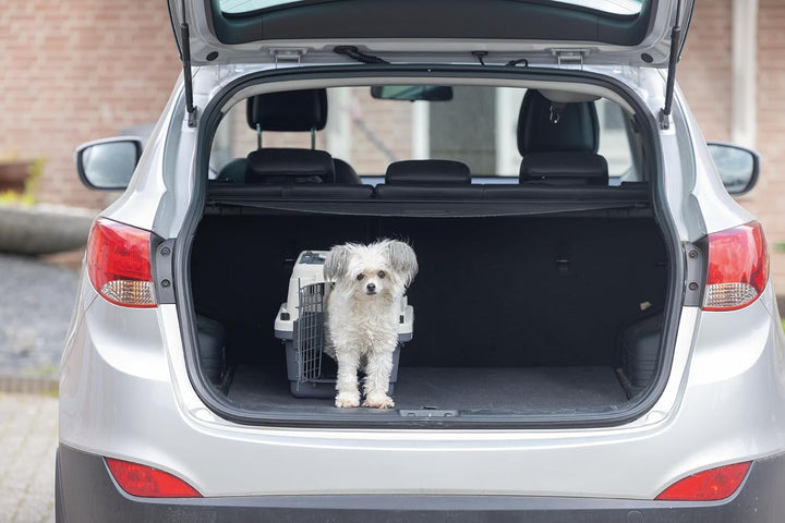 Karlie Flugzeugbox Nomad L: 51 cm B: 33.5 cm H: 33 cm XS < 5,00 kg Toploader L 34 x B 33 x H 51 cm,