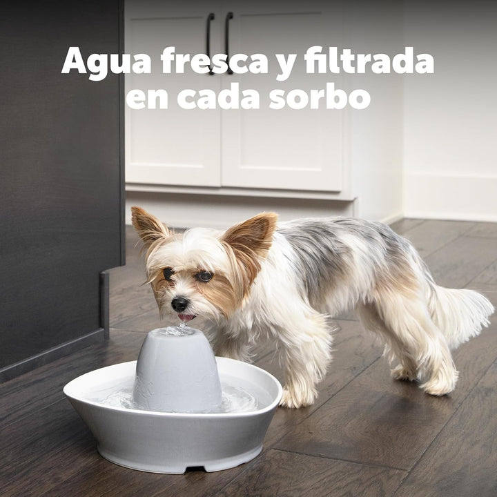 PetSafe Ersatz-Aktivkohlefilter für Drinkwell-Keramik-Trinkbrunnen, Sauberes Trinkwasser für Hunde u