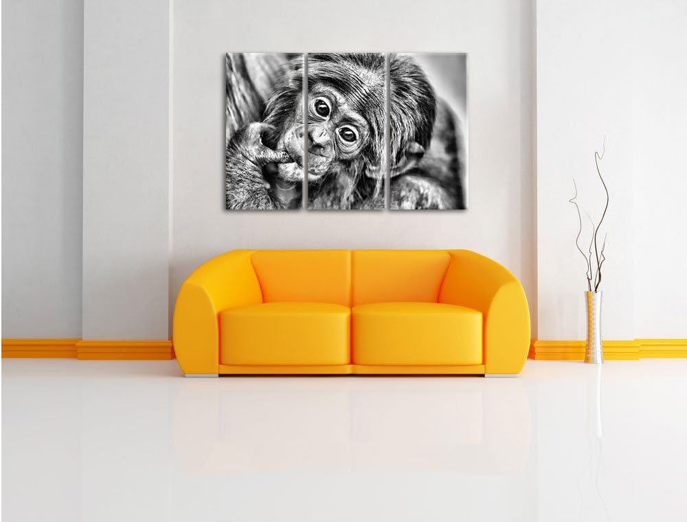 Pixxprint süsses Orang-Utan-Junges als Leinwandbild/Grösse: 3 Teilig (120x80) cm/Wandbild/Kunstdruck