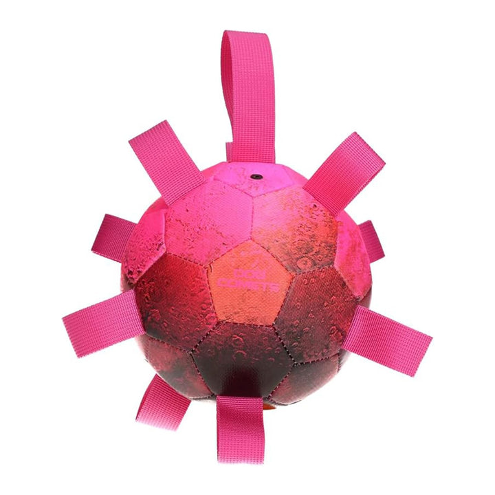 Cometas perro Hipernova Roze