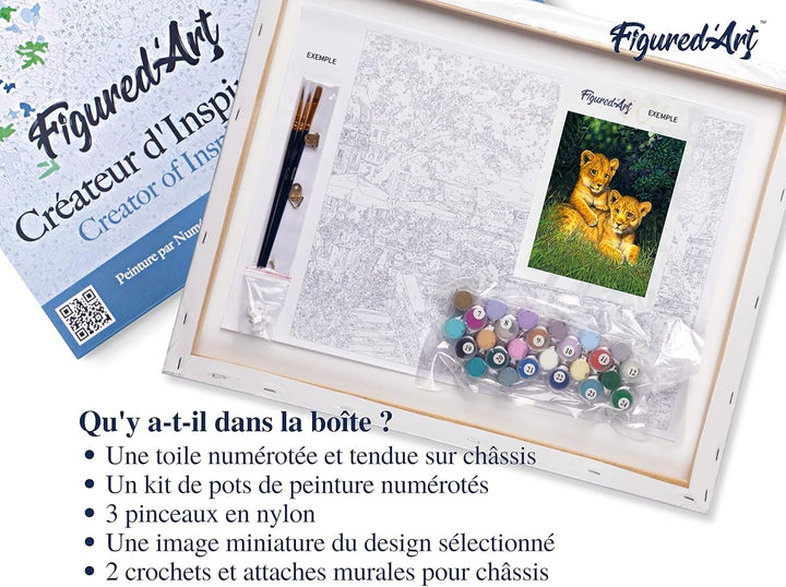 Figured'Art Malen Nach Zahlen Erwachsene Mit Rahmen Junge Löwen - Paint by Numbers Basteln DIY Baste