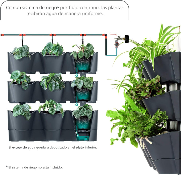 Macetero vertical Prosperplast Cascade Wall de plastico en color antracita 67 (largo) x 17,7 (ancho)