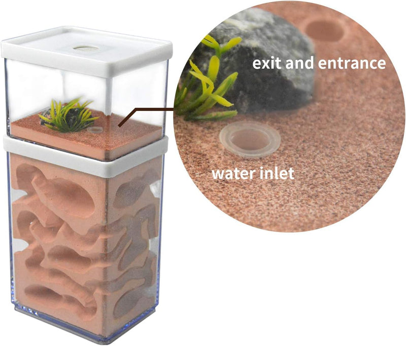 aleawol Natürliche Ameisenfarm Ameisennest Formicarium aus Gips Transparentes Ameisenhaus Ameisen Zu