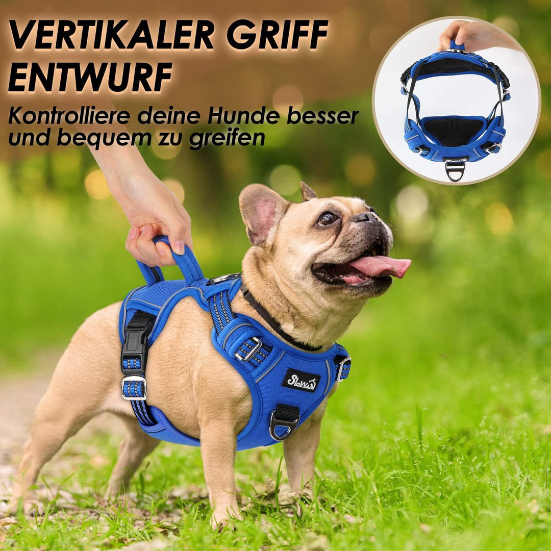 Hundegeschirr für Mittelgrosser Hunde, Anti Zug Brustgeschirr mit 2 Leinenclips und leicht zu bedien