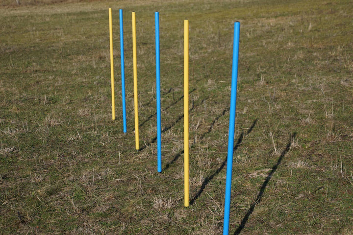 Agility-ÜBUNGS-Slalom-Set, Flexible runde Stangen BLAU/GELB (6)