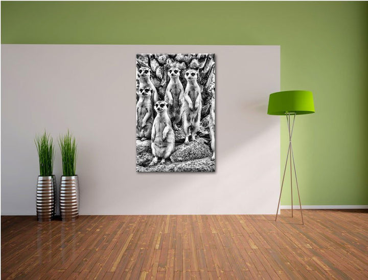 Pixxprint Monocrome, Lustige Erdmännchen, Format: 100x70 auf Leinwand, riesige Bilder fertig gerahmt