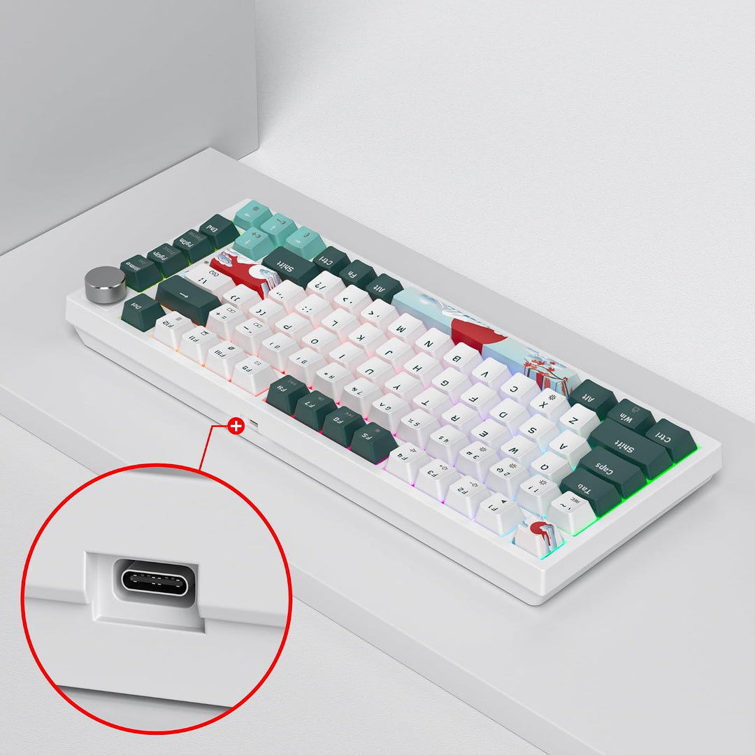 SOLIDEE Verkabelte Mechanische Gaming Tastatur 75%,hot-swap-fähige mechanische Tastatur Gasket Struk