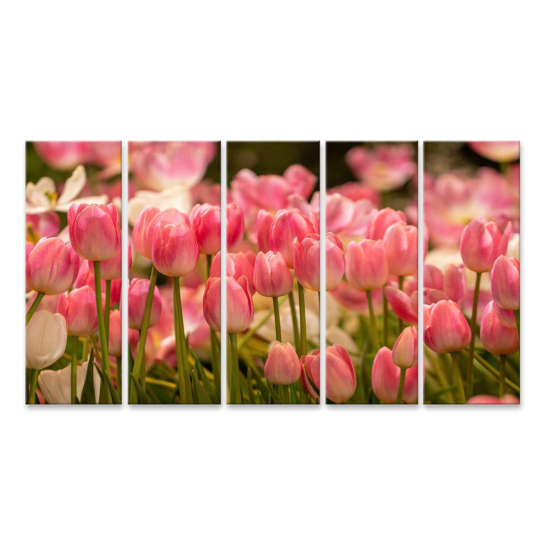 islandburner Bild auf Leinwand Rosa Tulpen Feld Bilder Wandbilder Poster Leinwand 170x80cm - 5 Teile