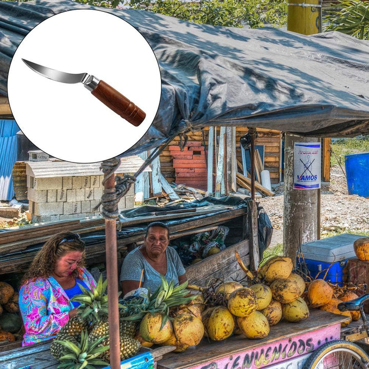 Stainless Steel Coconut Opener Knife Shell Opener Fruit Vegetable Meat Extractor Kitchen Tools