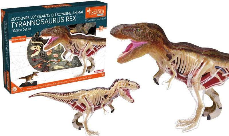 EXPLORA - T-Rex - Paläontologie - 546092 - Realistisches Modell mit 36 Teilen - Montageanleitung und