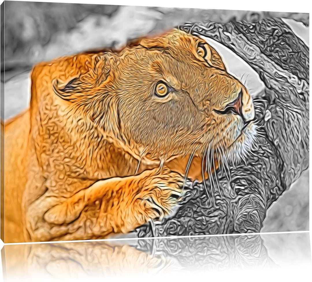 listige Löwin schwarz/weiss Deluxe Format: 100x70 cm auf Leinwand, XXL riesige Bilder fertig gerahmt