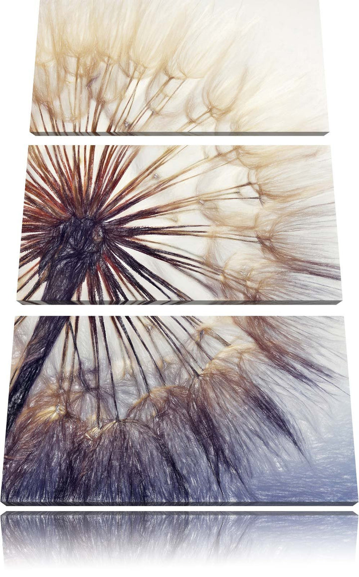 Pixxprint Schöne Pusteblume Bunstift Effekt 3-Teiler Leinwandbild 120x80 Bild auf Leinwand