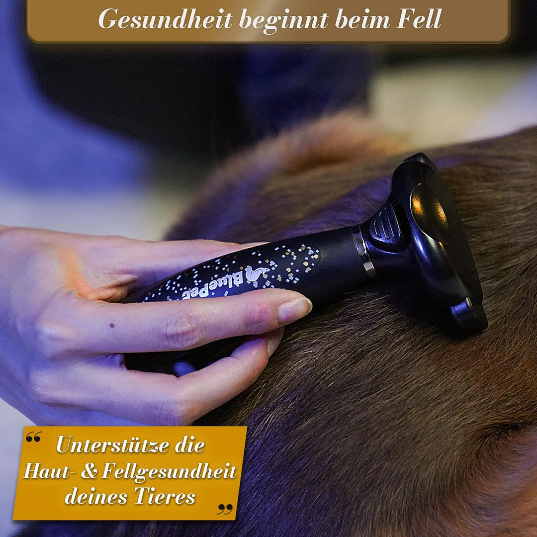 BluePet LIMITED Katzenbürste & Hundebürste Kurzhaar zum Entfernen von losem Fell & Unterwolle I Bis