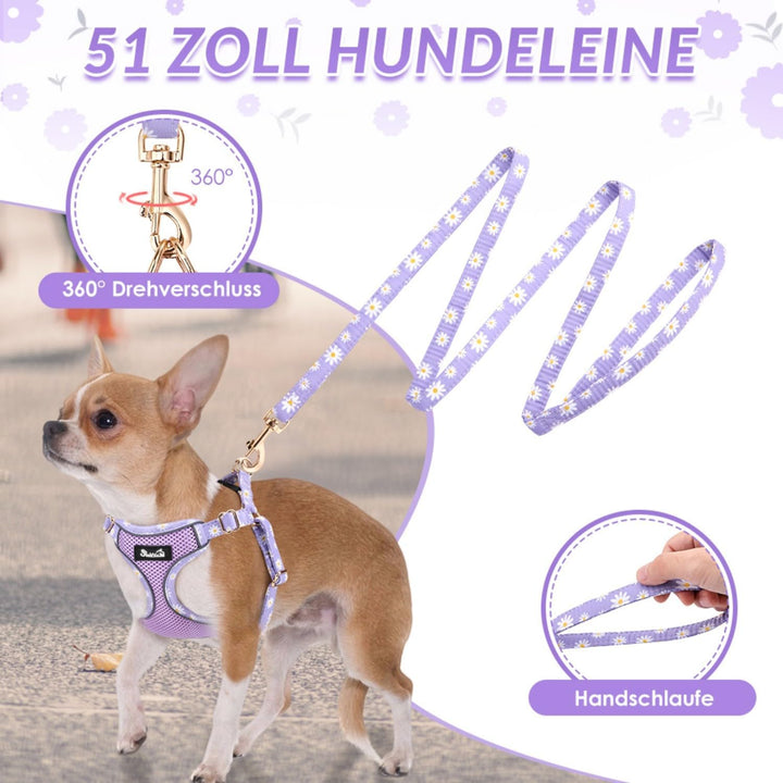 Eyein Hundegeschirr Kleine Hunde mit Leine, Atmungsaktiv Air Mesh Brustgeschirrmit reflektierenden S