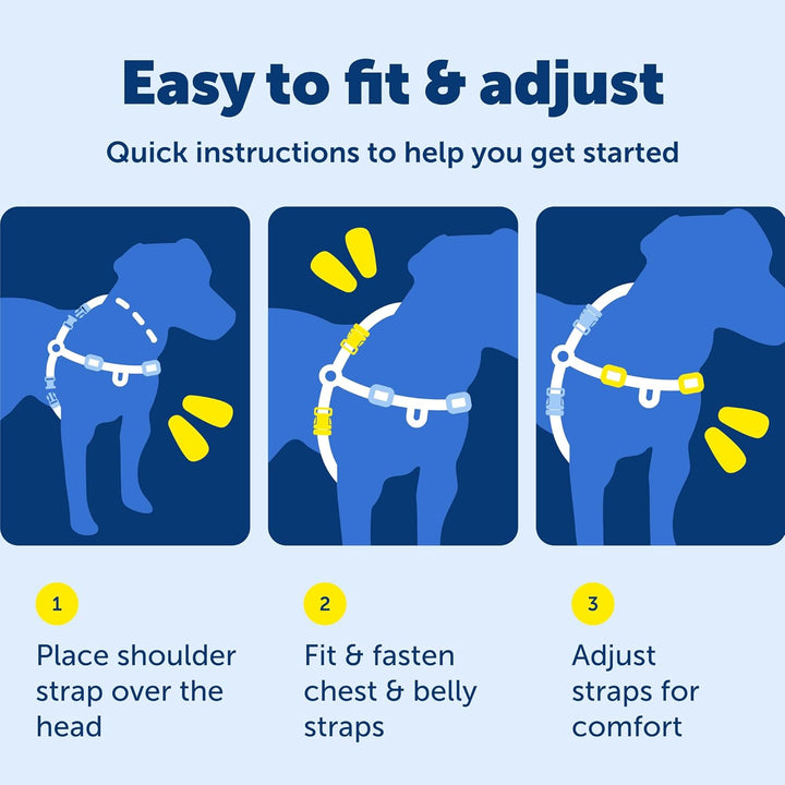 PetSafe Deluxe Easy Walk Hundegeschirr