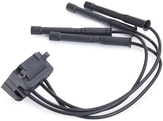 Delphi CE20018-12B1 Zndspule