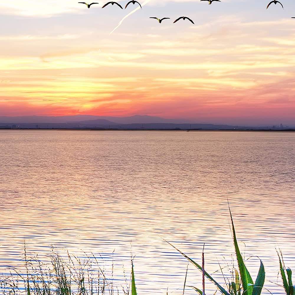 Feeby Viles - Leinwand Bilder - Fensterblick Natur- 90x60 cm- Deko Wohnzimmer - Wandbilder Schlafzim