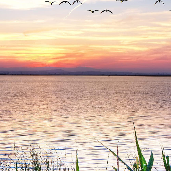 Feeby Viles - Leinwand Bilder - Fensterblick Natur- 90x60 cm- Deko Wohnzimmer - Wandbilder Schlafzim