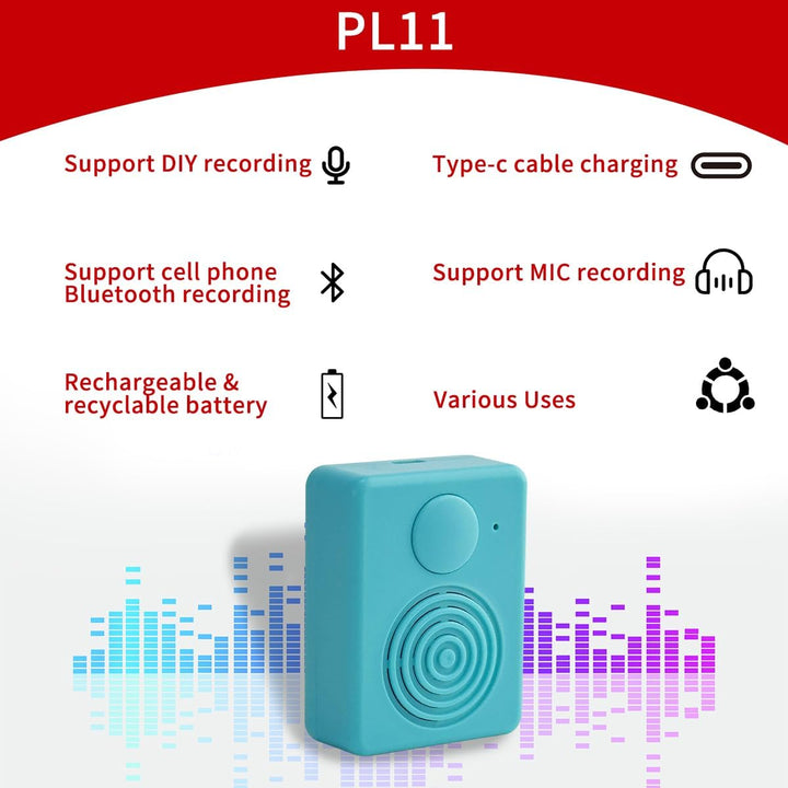 Soundmodul mit Lautsprecher,16 MB Diktiergerät, Unterstützt Bluetooth und Mikrofonaufnahmen,16 Minut