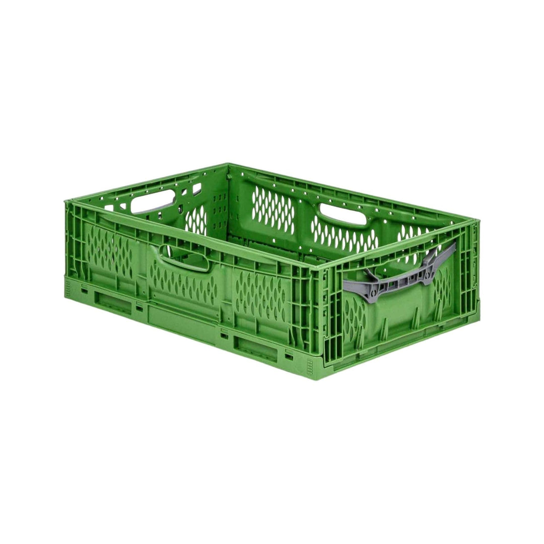 PROREGAL Stabile Profi-Klappbox Chameleon in Industriequalität | HxBxT 18x40x60cm | 35 Liter | klapp
