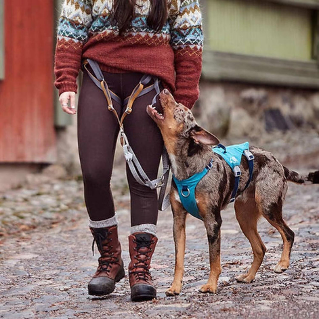 Hurtta Safeguard Hundegeschirr ECO (BlackBerry, schwarz, 75-95 cm) blackberry, schwarz 75-95 cm, bla