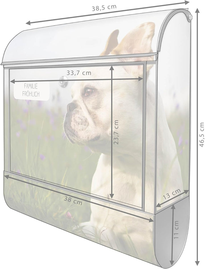 banjado® Design Briefkasten personalisiert Motiv Französische Bulldogge 39x47x14 &amp; 2 Schlüssel - Bri