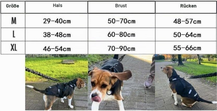 Total Sportgeschirr mit Hund, Laufen, Canicross, Schlitten, Mushing, Fahrrad, Roller... (M, Rot) M R