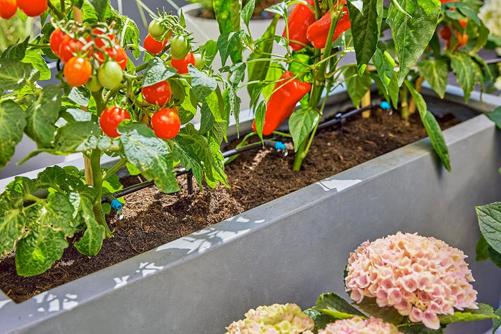 Gardena Micro-Drip-System Tropfbewässerung Set Terrasse (30 Pflanzen): Starter-Set sofort einsatzber