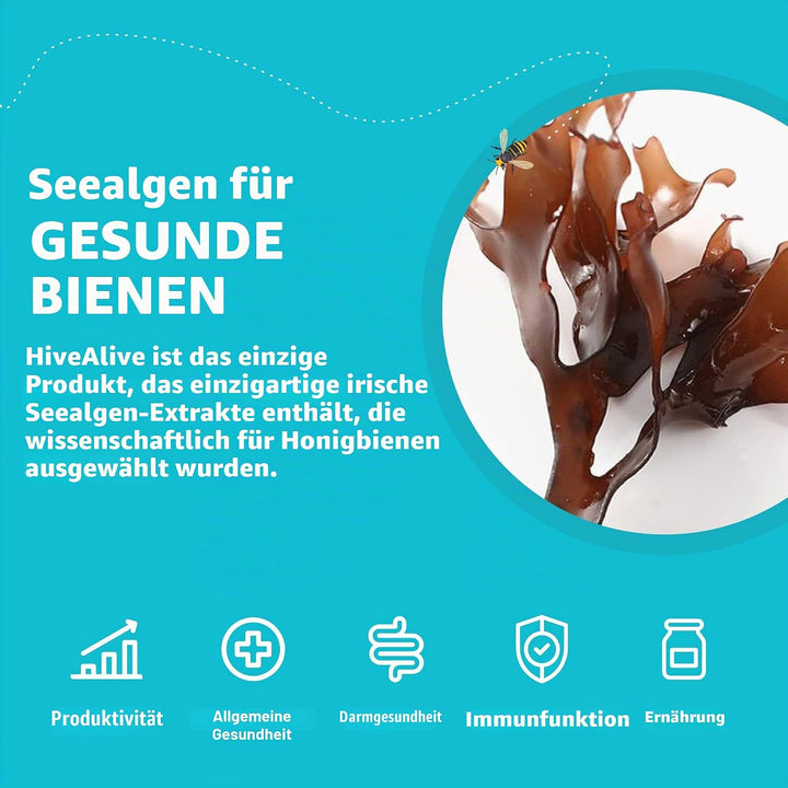 HIVE ALIVE Bienenfutter Zusatz - Natürliches Bienenfutter Flüssig - Bio Imker Zubehör - Herbst-Frühj
