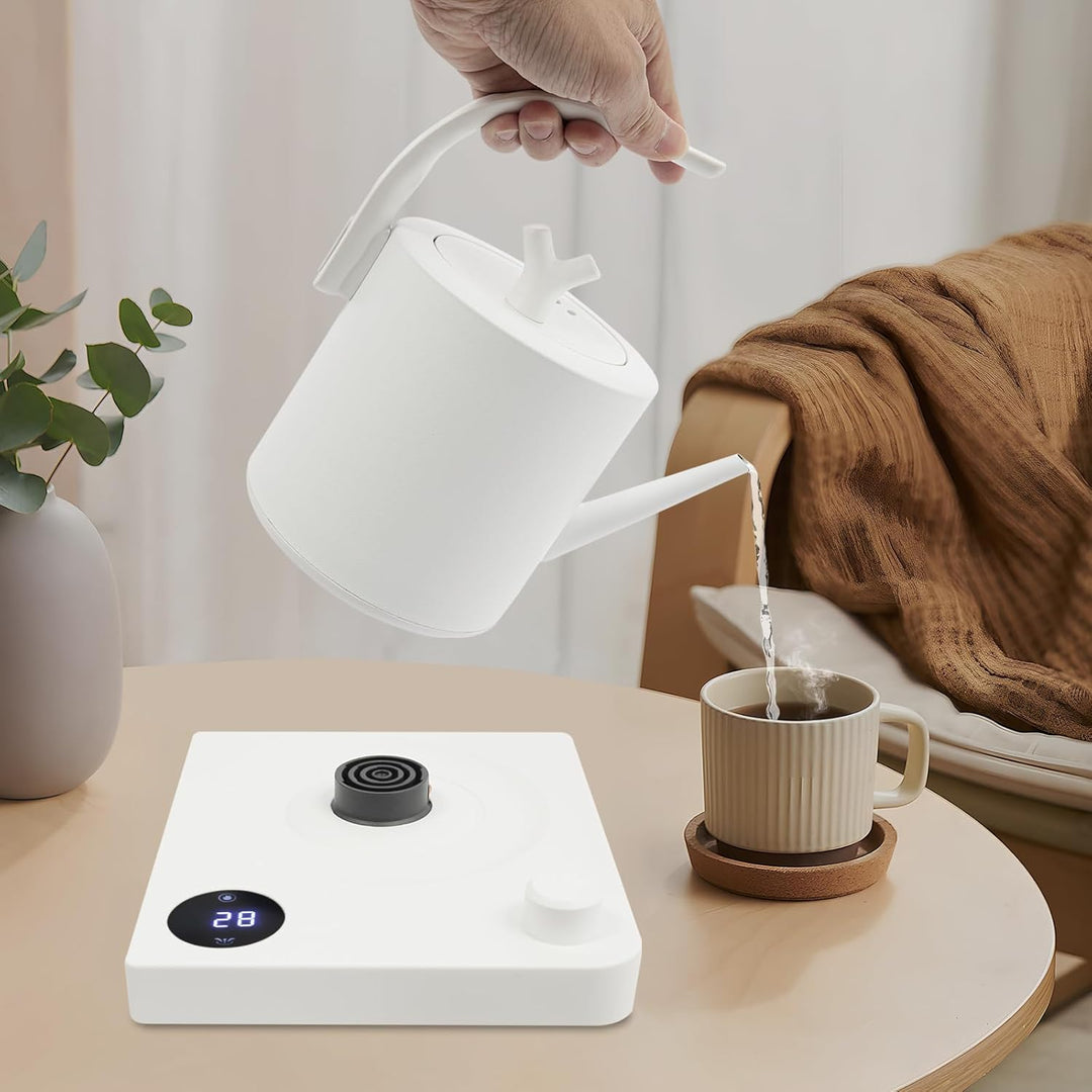 Wasserkocher mit Schwanenhals Edelstahl 1L, Teekocher Elektrisch, Wasserkocher mit Temperatureinstel